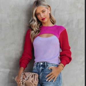 Rozie Colorblock Crop Knit Cutout Sweater